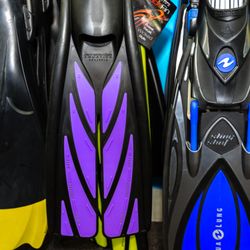 Dive Right In Scuba