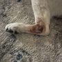 Photo of Milford Animal Hospital