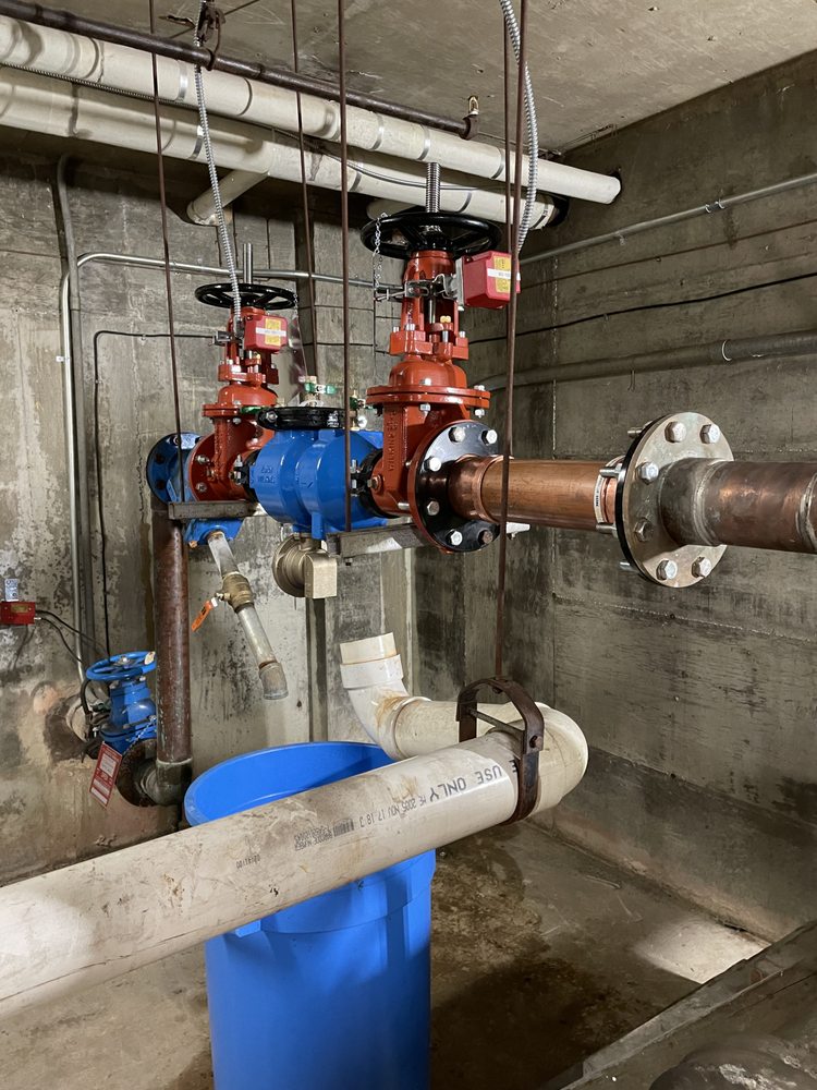 Slide of Immaculate Development Group