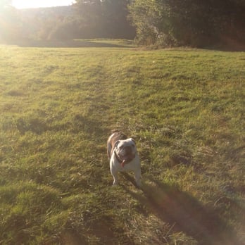 Pur Down - Enjoying a lovely sunny walk - Parks Near Me - Bristol, BST Pur Down - Enjoying a lovely sunny walk - Parks Near Me - Bristol, BST