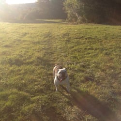 Pur Down - Enjoying a lovely sunny walk