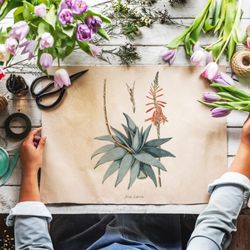 The Rochester Institute Of Floral Design