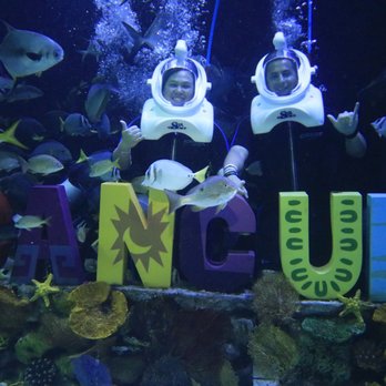 Interactive Aquarium Cancún - Aquariums Near Me - Cancún, ROO