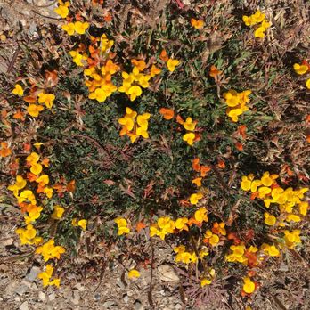 Mori Point - Hiking Near Me - Pacifica, California Mori Point - Hiking Near Me - Pacifica, California