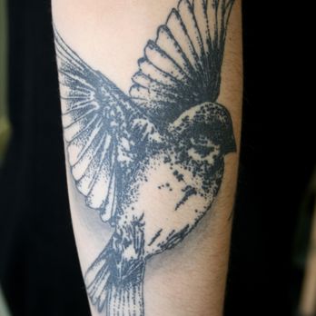 Cicada Tattoo - Will Bodnar - Tattoo Near Me - Tacoma, Washington Cicada Tattoo - Will Bodnar - Tattoo Near Me - Tacoma, Washington