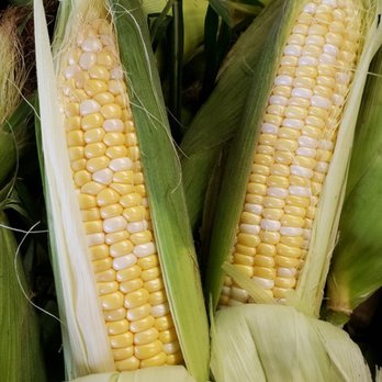 LaValley Farms - 100% non GMO! - CSA Near Me - Hooksett, New Hampshire LaValley Farms - 100% non GMO! - CSA Near Me - Hooksett, New Hampshire