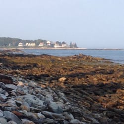 Rachel Carson Salt Pond Preserve