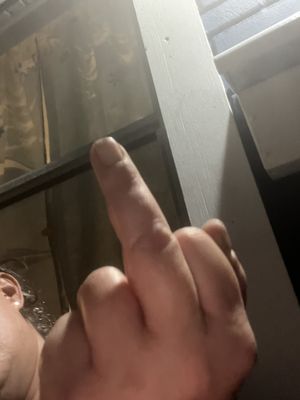 Octopus Garden Bar by null