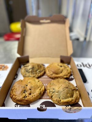 Choc Cookies by null