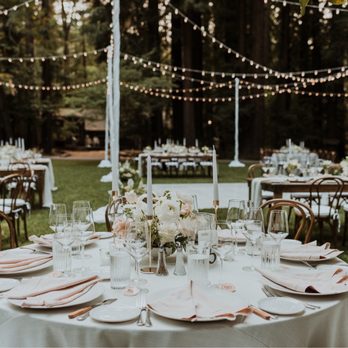 Love Life & Bloom - Party & Event Planning Near Me Love Life & Bloom - Party & Event Planning Near Me