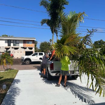 Nice People Landscaping - Delivery of the trees - Landscaping Near Me