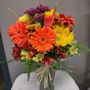 Photo of Shooting Star Florist