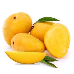 Mango Canada - Badami / Banganapalli