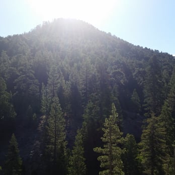 Buckhorn Campground - Sun coming up in the morning. - Campgrounds Near Me - Arcadia, California