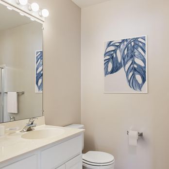 Oakmonte Apartment Homes - Apartments Near Me - Webster, New York