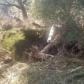 Dave Moore Nature Area - Sink hole - Hiking Near Me - Lotus, California Dave Moore Nature Area - Sink hole - Hiking Near Me - Lotus, California