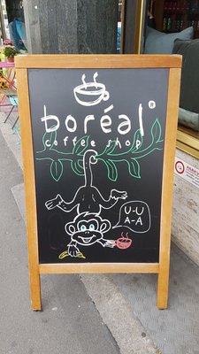 Boréal Coffee Shop - Talacker by null