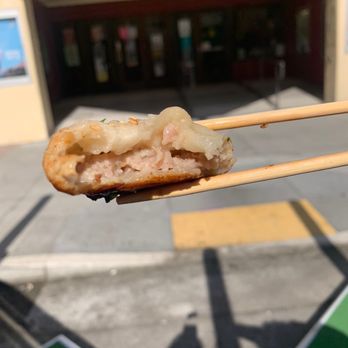 Shanghai House - Steamed Pan-Fried Pork Dumplings - Shanghainese Near Me - San Francisco, California