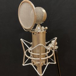 Studio Crash - Our Peluso VTB tube condenser microphone. It has the sound of a Sony C800-G, with the looks of a vintage Neumann bottle mic.