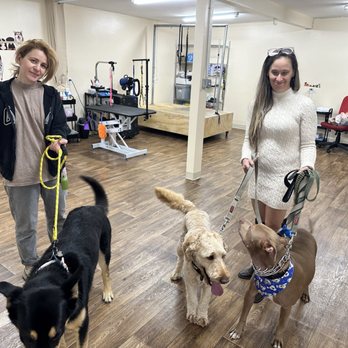 Sam’s Dog Grooming - Pet Groomers Near Me - Tujunga, California