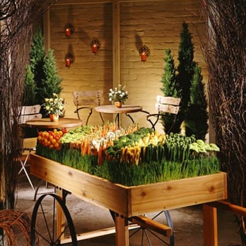 Moondance Catering - Caterers Near Me Moondance Catering - Caterers Near Me