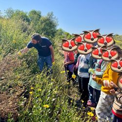 Mt San Antonio College - Professor Flisik pulled out a CA bush sunflower, then invited each child to do same and discover 100s of tiny flowers hidden within.