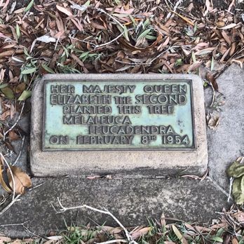 Government House - A marker in front a tree to commemorate that the Queen planted it. - Travel Services Near Me - Sydney, NSW Government House - A marker in front a tree to commemorate that the Queen planted it. - Travel Services Near Me - Sydney, NSW