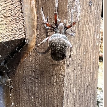 Precision Pest Control - Pest Control Near Me Precision Pest Control - Pest Control Near Me
