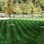Photo of White's lawn care