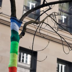 Baumbestrickung - Strickguerilla