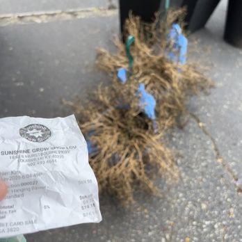 Sunshine Grow Shop - Receipt doesn't say "all sales final" - Nurseries & Gardening Near Me - Louisville, Kentucky Sunshine Grow Shop - Receipt doesn't say "all sales final" - Nurseries & Gardening Near Me - Louisville, Kentucky