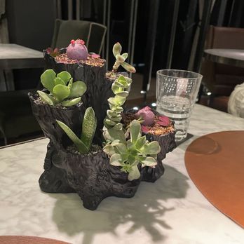 Koli - Mexican Near Me - Ciudad Santa Catarina, NLE