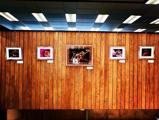 Altadena Library by null