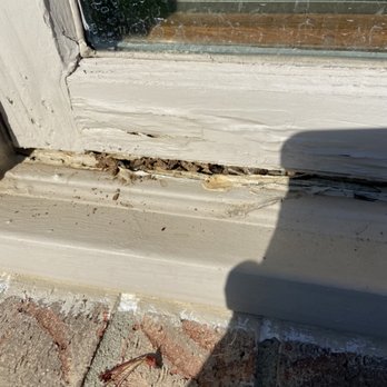 Anderson Termite and Pest Solutions - Termite damage in widow seal also some moisture damage - Pest Control Near Me Anderson Termite and Pest Solutions - Termite damage in widow seal also some moisture damage - Pest Control Near Me