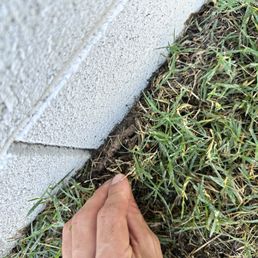 a person's hand reaching for grass