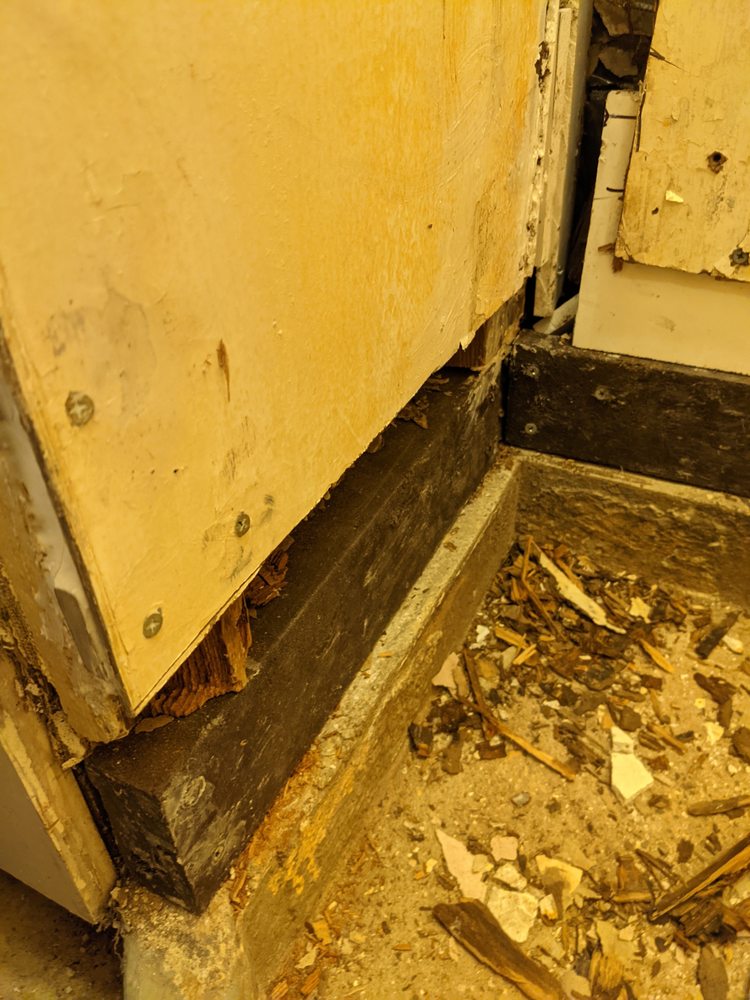 Slide of Snow Wonder Services