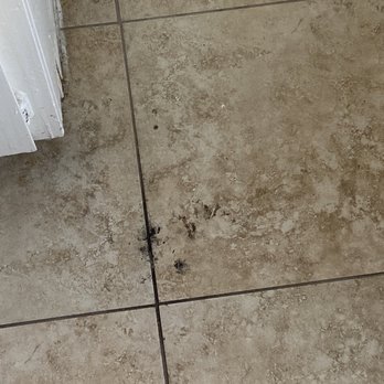 Joese House Cleaning - Floor where the fridge was. - Home Cleaning Near Me - Los Angeles, California