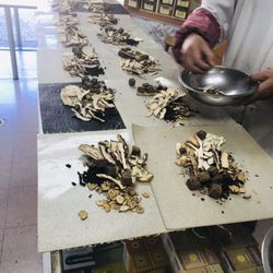Chung Hsin Herbs