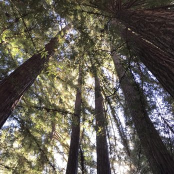 Smithwoods R V Park - Campgrounds Near Me - Felton, California Smithwoods R V Park - Campgrounds Near Me - Felton, California