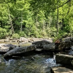At DuPont State Recreational Forest