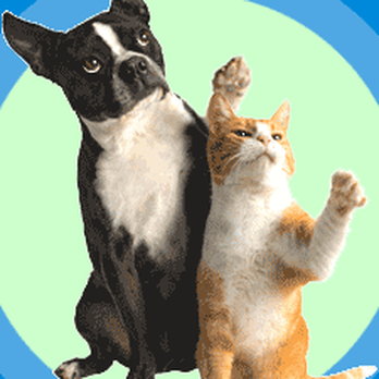 All About Petz - Bye Mom & Dad! Have fun on your trip because "All About Petz" will be here - Pet Sitting Near Me
