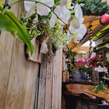 Sloopy's Beach Cafe - Indoor with lots of plants - American Near Me - Manhattan Beach, California