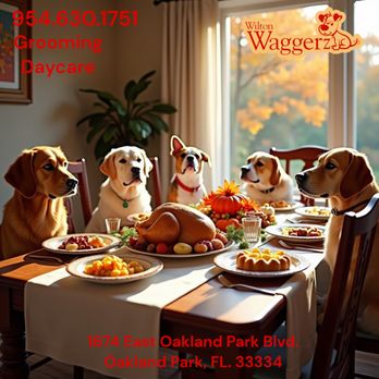 Wilton Waggerz - Happy Thanksgiving - Pet Sitting Near Me - Oakland Park, Florida Wilton Waggerz - Happy Thanksgiving - Pet Sitting Near Me - Oakland Park, Florida