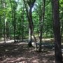 Photo of Bedford Neighborhood Park MNCPPC