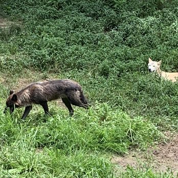 Metro Richmond Zoo - Zoos Near Me - Moseley, Virginia