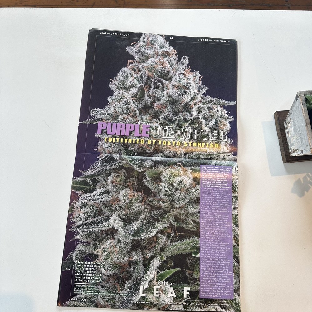 Tokyo Starfish Box Factory Cannabis Dispensary - Cannabis Clinics Near Me - Bend, Oregon Tokyo Starfish Box Factory Cannabis Dispensary - Cannabis Clinics Near Me - Bend, Oregon