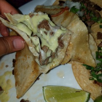 Su Taqueria Thaly’s - Corn tortillas on the quesadilla had to be hand made, it was thick and chewy, just amazing. - Mexican Near Me - Chicago, Illinois
