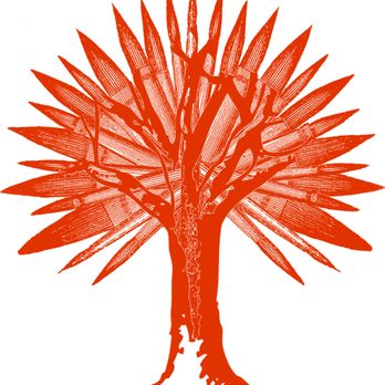 Artistic Tree Care - Tree Services Near Me - Denver, Colorado Artistic Tree Care - Tree Services Near Me - Denver, Colorado