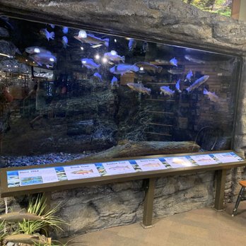 St Regis Travel Center - Trout tanks - Convenience Stores Near Me - Saint Regis, Montana St Regis Travel Center - Trout tanks - Convenience Stores Near Me - Saint Regis, Montana