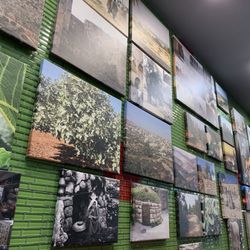 King of Falafel & Shawarma - Restaurant - Inside the restaurant.